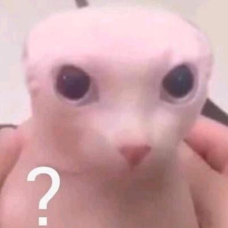 1984.⠀⠀   y si
y si revivo a dom?