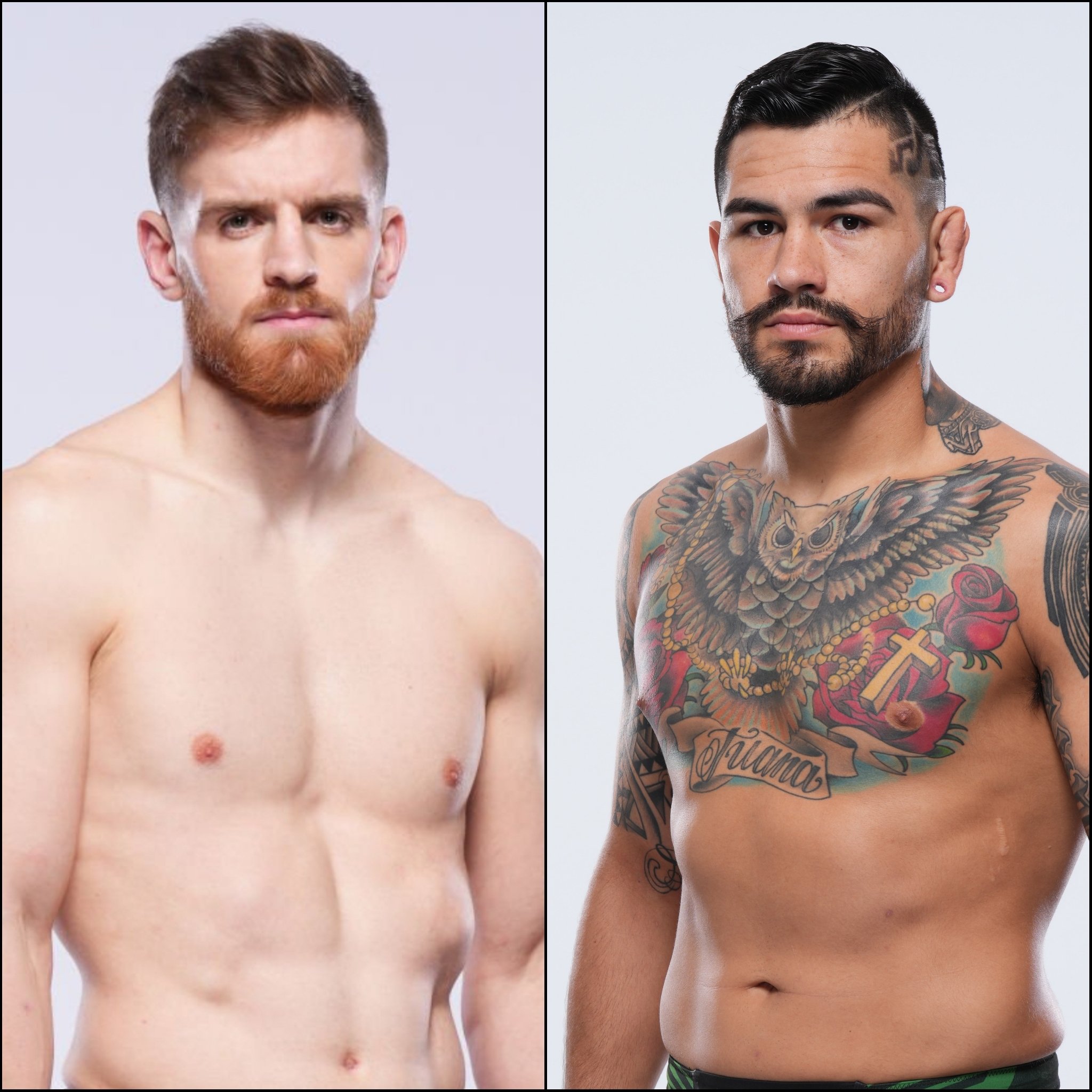 Marcel Dorff 🇳🇱🇮🇩 on Twitter "Edmen Shahbazyan will fight Anthony
