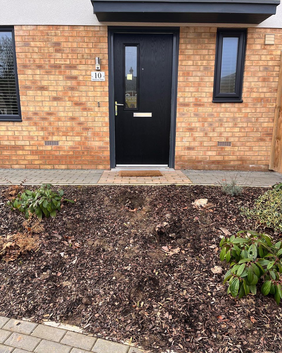JakKanon's tweet photo. Blockwork steps I had the pleasure of completing today🤩 https://t.co/e1toURt6gT