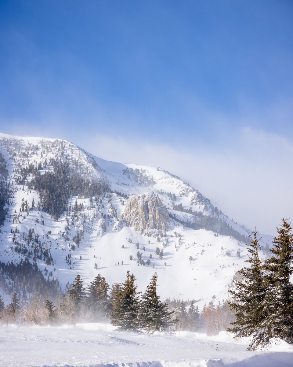 This morning we woke up to 3-4 inches of fresh snow in Mammoth Lakes.

The sun came out in between storms, leaving us with a very cold, very windy blue-bird day. 

Dress warm, and drive safe. As always, BE PATIENT, BE CONSIDERATE, and BE KIND.