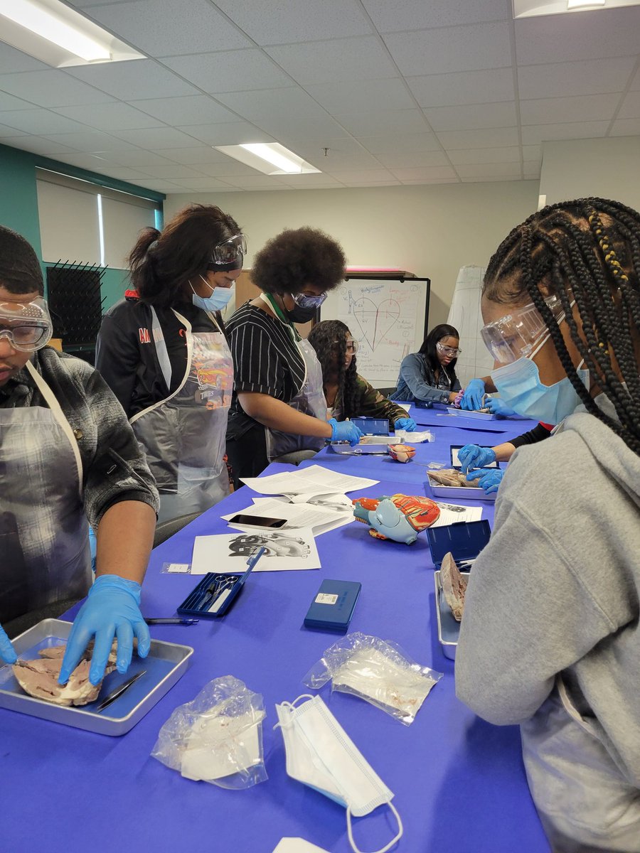 JackYatesScience tweet media