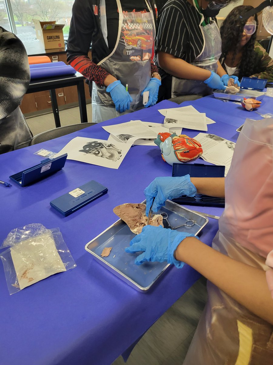 JackYatesScience tweet media