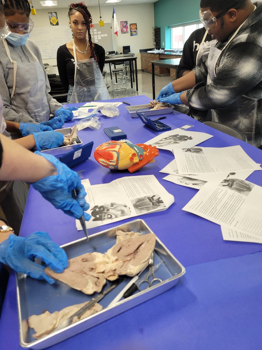 JackYatesScience tweet media