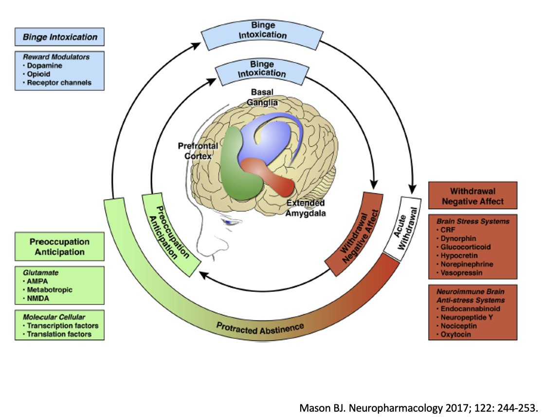 Lizzie Aby, MD tweet media
