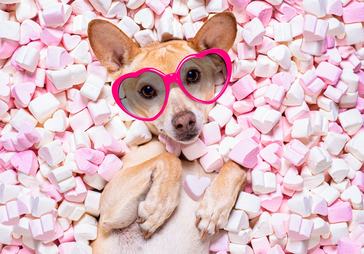 ironedgegroup's tweet photo. Tired of bad experiences with your technology? Love doesn’t always “byte”. IronEdge is here to help you love IT again! We help businesses achieve their goals through the strategic use of technology.
Learn More: https://t.co/YbHANhEuv6
#LoveTechnology #ManagedIT #ITsolutions https://t.co/8BjvAmlDgn