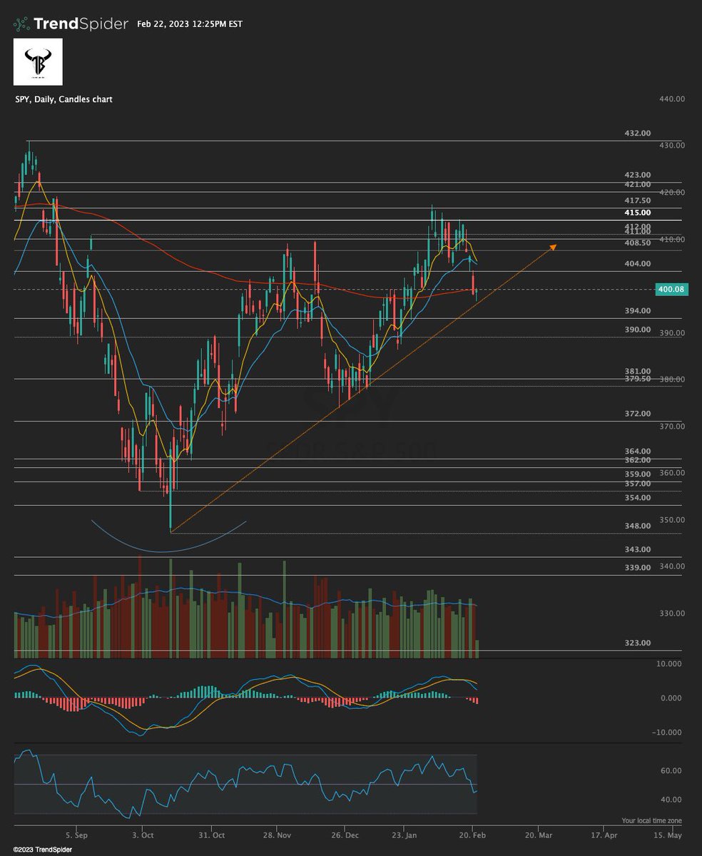 Trading Buddyz tweet media
