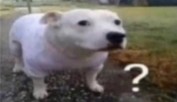 Unknowns 🇭🇲.eth tweet media