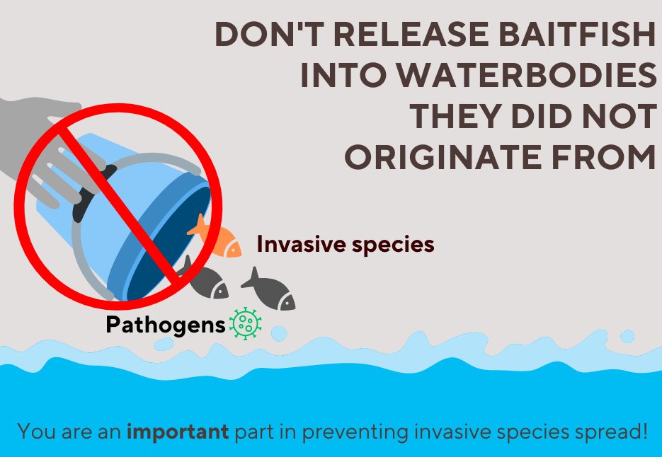 Hannah Mulligan tweet media