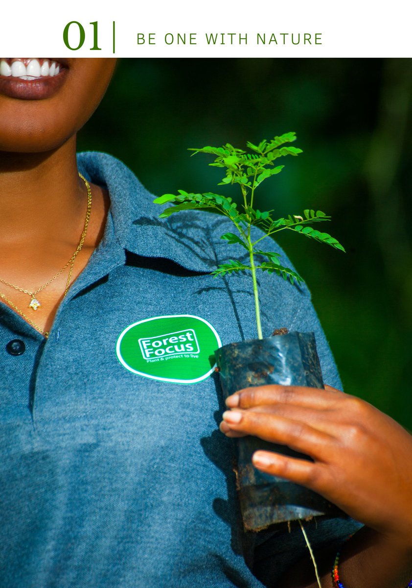 Changes start with one, plant some become one.🌴🌳🌴 <a href="/GreenNouns/">Green Nouns</a> <a href="/Save0urForests/">🌳 Save Our Forests</a> <a href="/fores/">fores</a> <a href="/ACE_coalition/">Arizona Progressive Coalition AZPC Inc.</a>