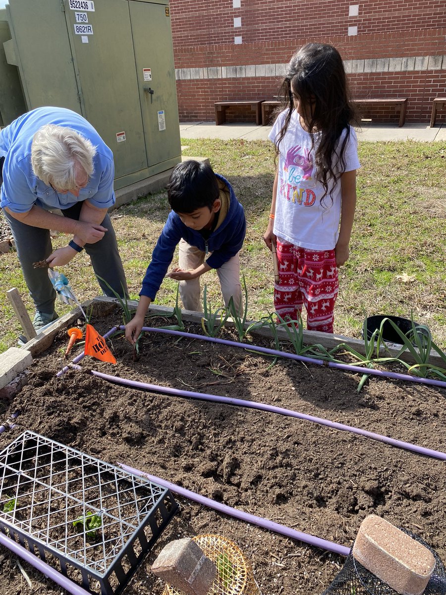 Shari Gulam tweet media