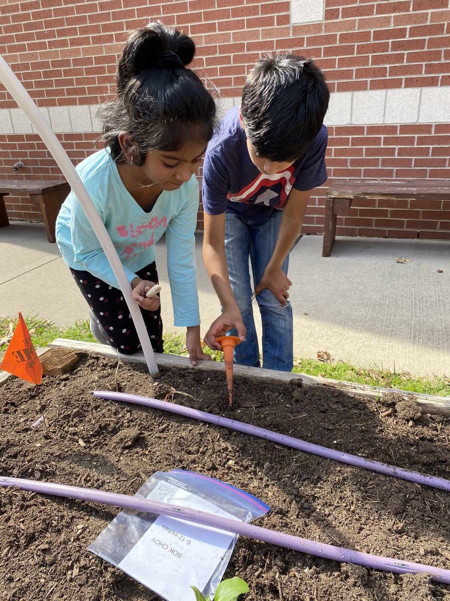 Shari Gulam tweet media