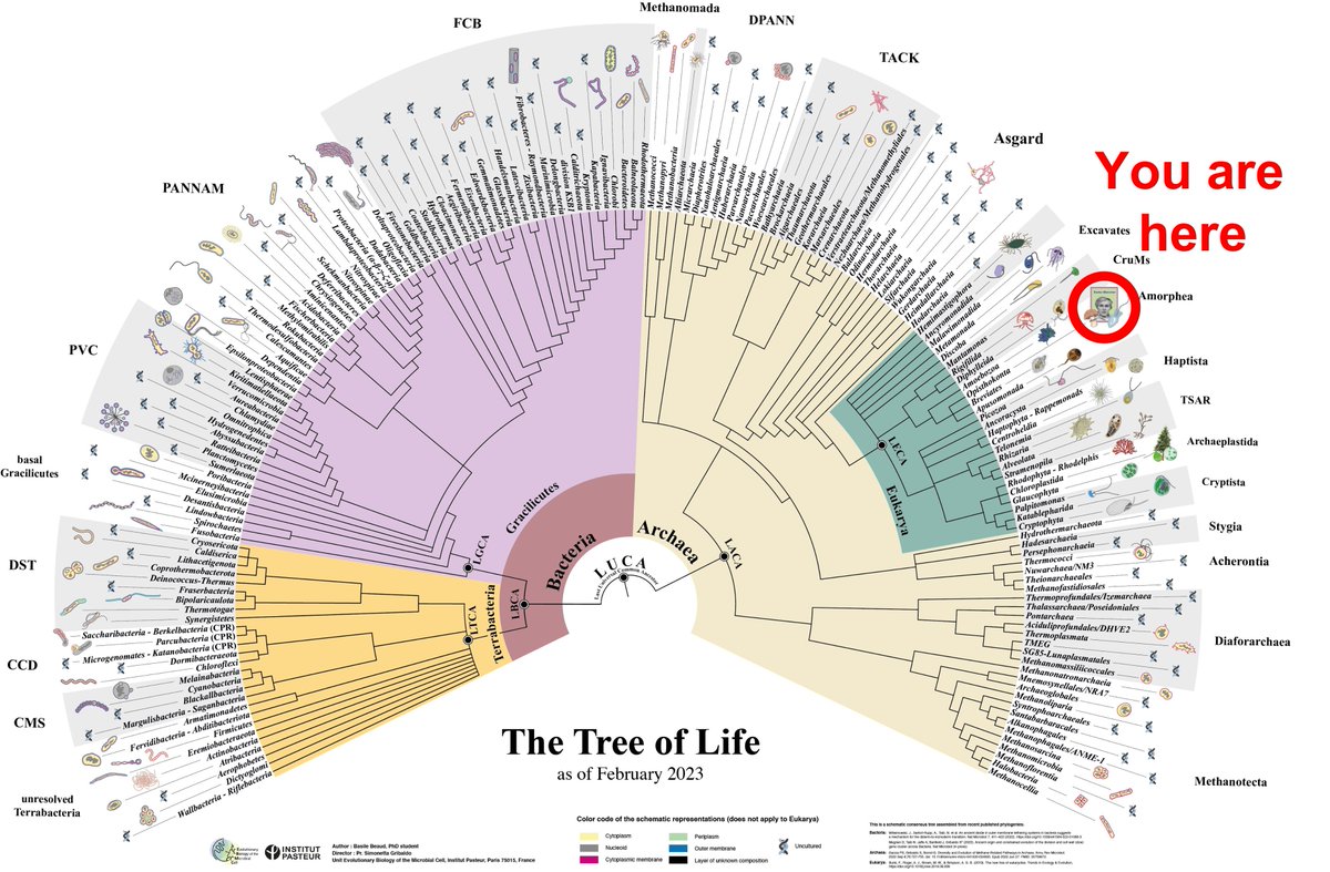 Elisa Granato tweet media