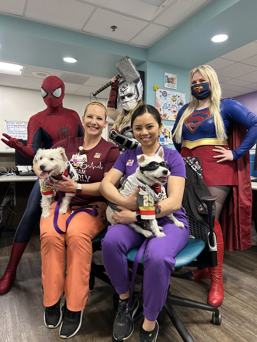 BarkAndreFurry's tweet photo. Yesterday Deke and I spent the afternoon with superheroes!
We were invited to join @CCComics4kids as they delivered toys &amp; comic books to sick children at Summerlin Hospital! 
Next time, I’m wearing a cape!
~ Bark🐾
#PawYouNeedIsLove
#TherapyDog 
#AStrongerFamilyTogether https://t.co/MiRjxiwAIB