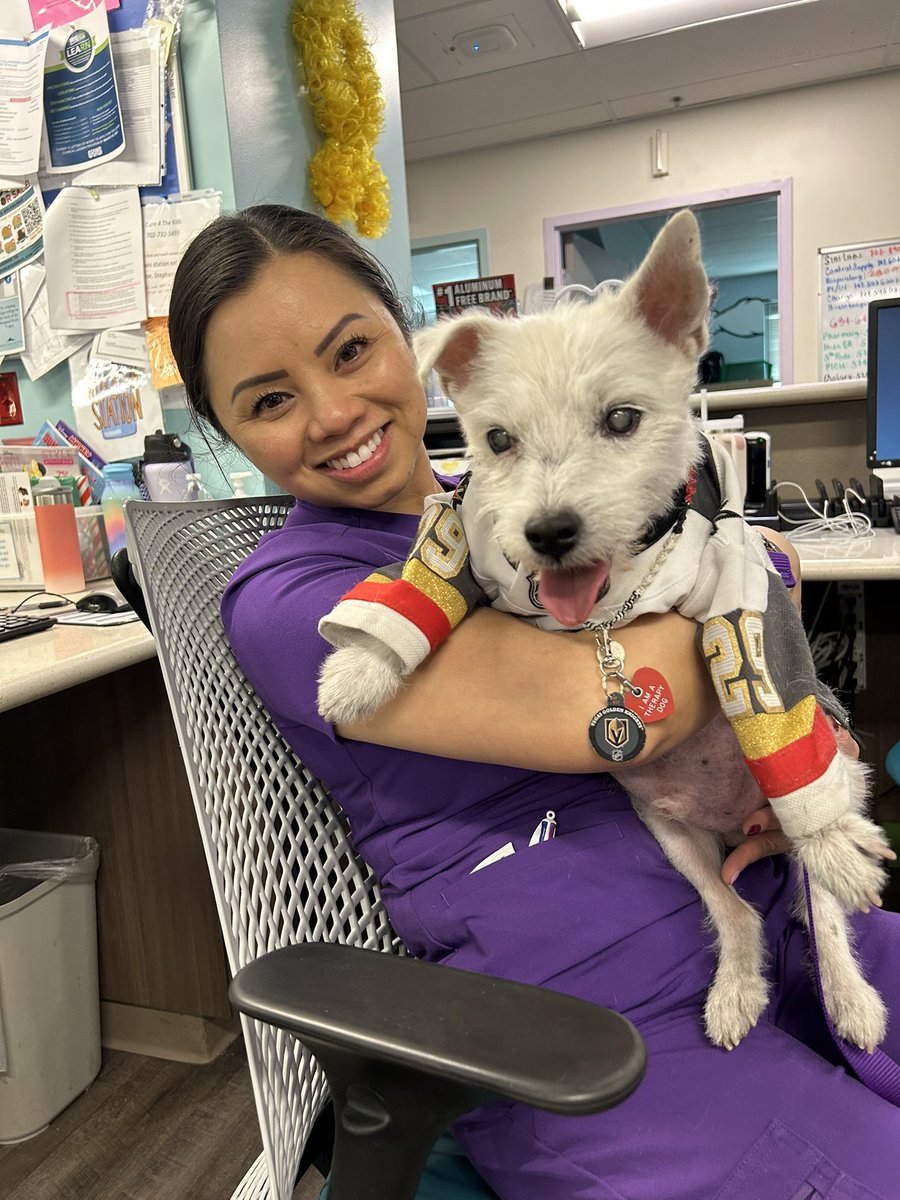 Bark-André 🌈 (@barkandrefurry) on Twitter photo Yesterday Deke and I spent the afternoon with superheroes!
We were invited to join <a href="/CCComics4kids/">Critical Care Comics</a> as they delivered toys & comic books to sick children at Summerlin Hospital!
Next time, I’m wearing a cape!
~ Bark🐾
#PawYouNeedIsLove
#TherapyDog
#AStrongerFamilyTogether Yesterday Deke and I spent the afternoon with superheroes!
We were invited to join <a href="/CCComics4kids/">Critical Care Comics</a> as they delivered toys & comic books to sick children at Summerlin Hospital!
Next time, I’m wearing a cape!
~ Bark🐾
#PawYouNeedIsLove
#TherapyDog
#AStrongerFamilyTogether