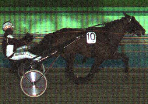 Hevosurheilu Junioritähdessä nuorista ohjastajista paras oli Tuukka Varis ja ajokkinsa Rocky Cobbler. Kasvattaja-omistaja on Team Hoo Hetki, valmentaja <a href="/jp_irri/">Joni-Petteri Irri</a> ja hoitaja Jenni Kaija. Parhaat onnittelut! #ravit <a href="/Hevosurheilu/">Hevosurheilu</a>