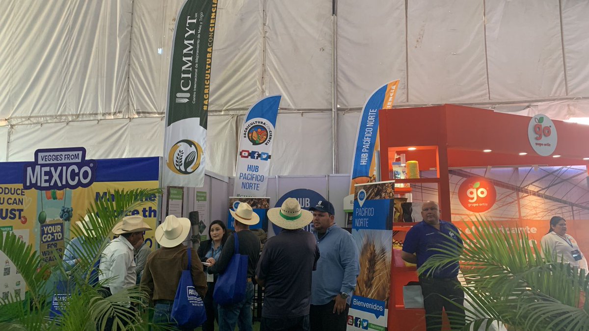Participacion #CIMMYT #HubPac en ExpoAgro Sinaloa 2023. Los esperamos en nuestro stand