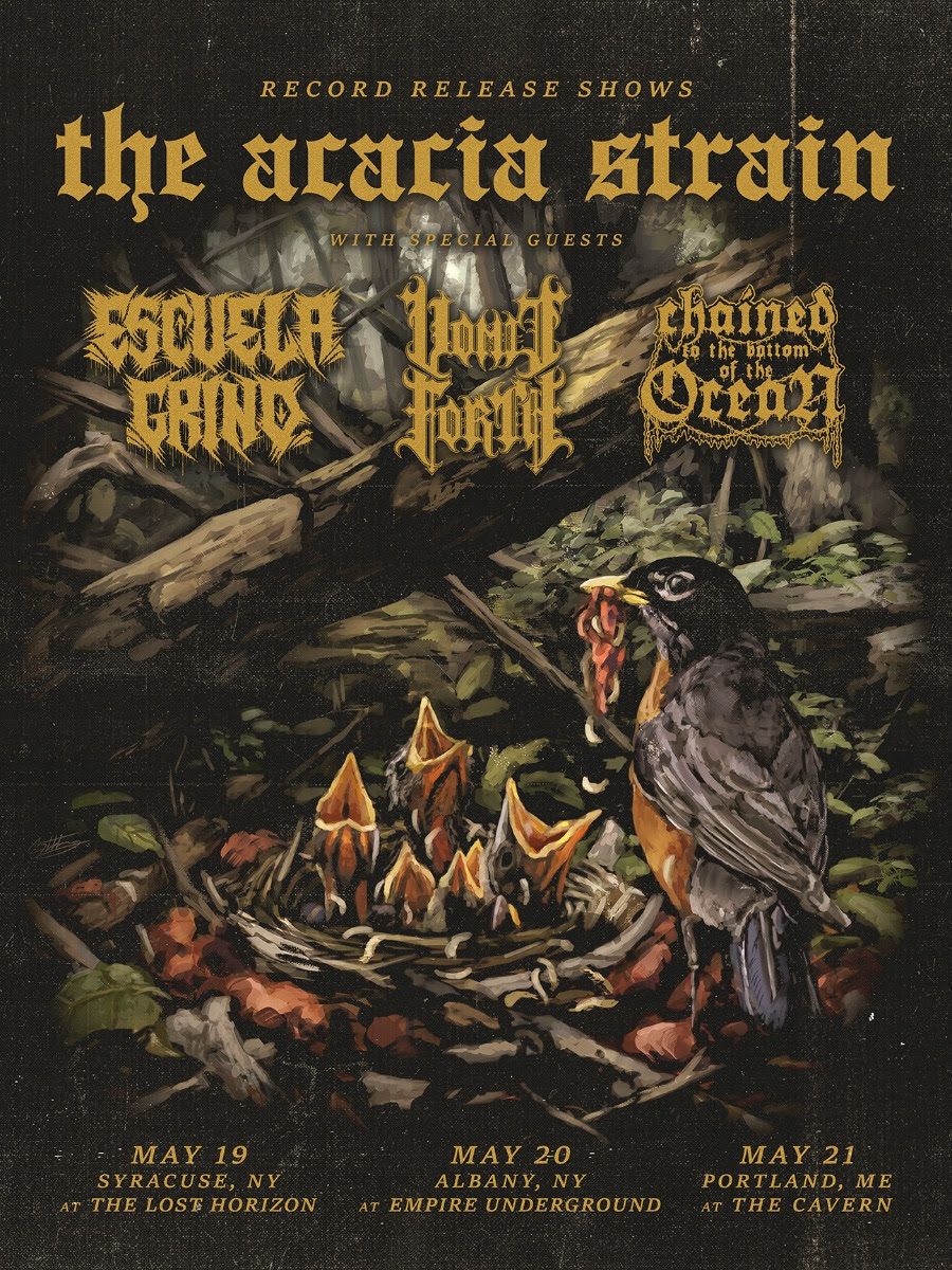 shutter16's tweet image. @theacaciastrain Announces #StepIntoTheLight Record Release Shows
shutter16.com/the-acacia-str… #TheAcaciaStrain