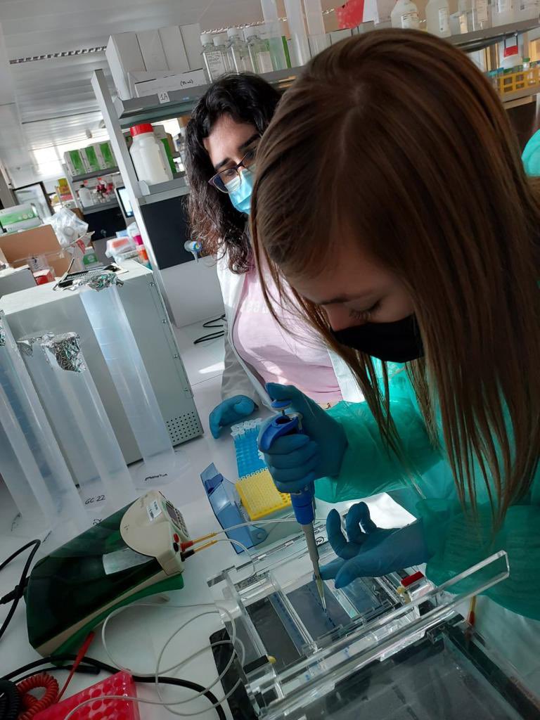 Maribel Martinez tweet media