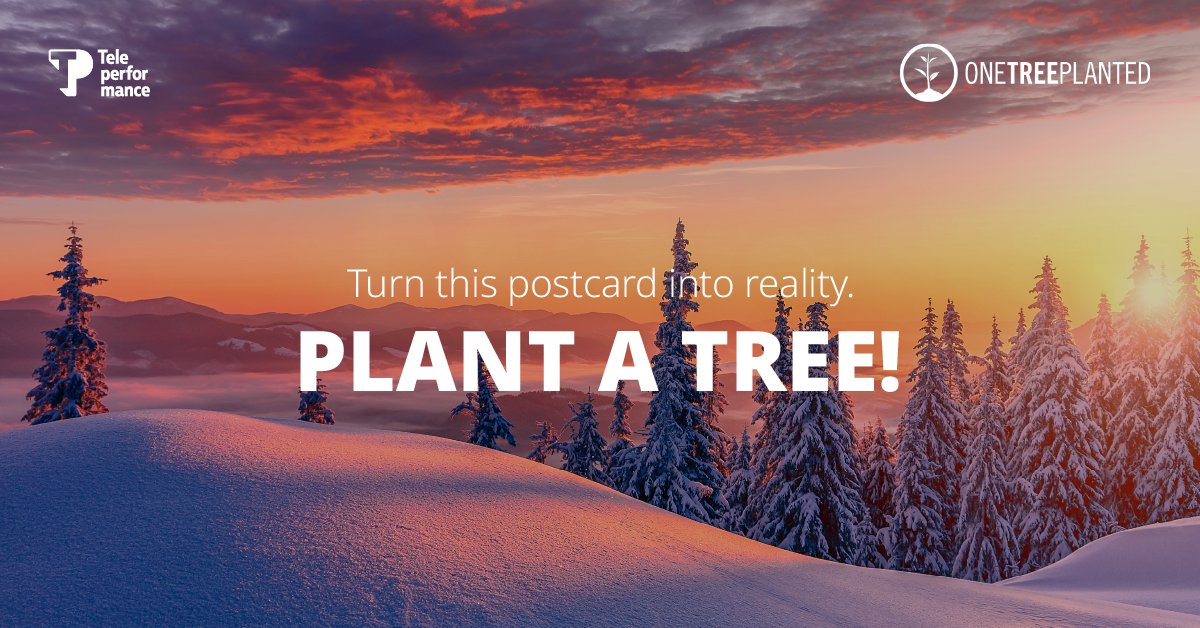 akarahogiti's tweet photo. Partner with @Teleperformance and One​​ Tree Planted in spreading the word on the importance of trees.​​ Apart from the 500,000 trees TP will help plant, you can also support global reforestation efforts here: https://t.co/OQIWO0a12d 
​
#TPforOneTreePlanted​​ #TPBeInspired https://t.co/voWI6TyMVp