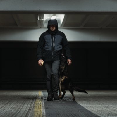 Total Dog Training tweet media