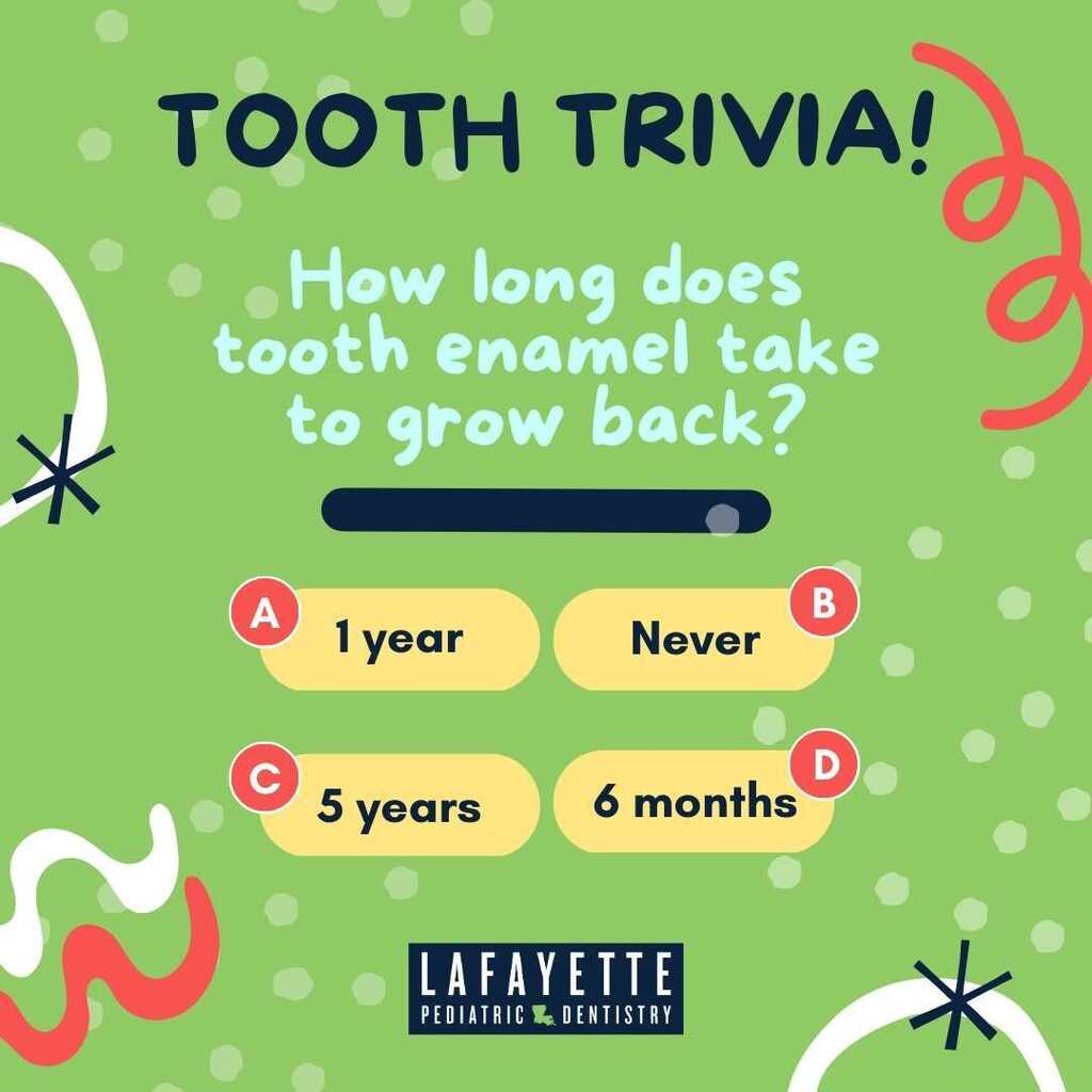 NoCavityKids's tweet image. Who doesn't love a nice game of trivia? 🤓

Welcome to #ToothTrivia, a game where we test your knowledge on all things taking care of your teeth!! 😁

Our first #ToothTrivia question is this:

How long does tooth enamel take to grow back?

A. 1 year
B. Never
C. 5 years
D. 6 mo…