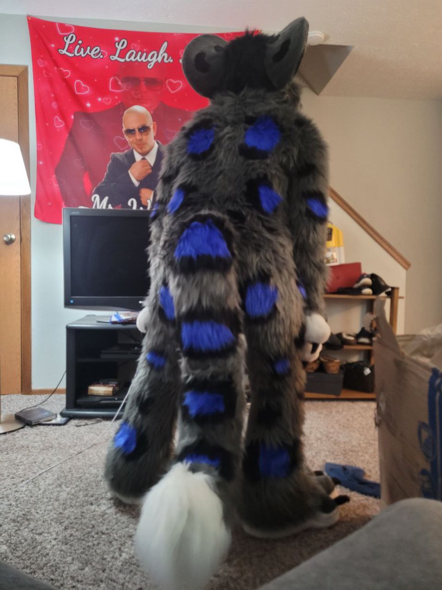 AkioSnep's tweet photo. Got my suit last night and I absolutely LOVE him! He's so soft and fluffy!!!!!!

Huge thank you to @RitzCostumes for the amazing work! I can't wait to snep around at some cons, find me at FWA and AC! https://t.co/NXCnwbdBHy