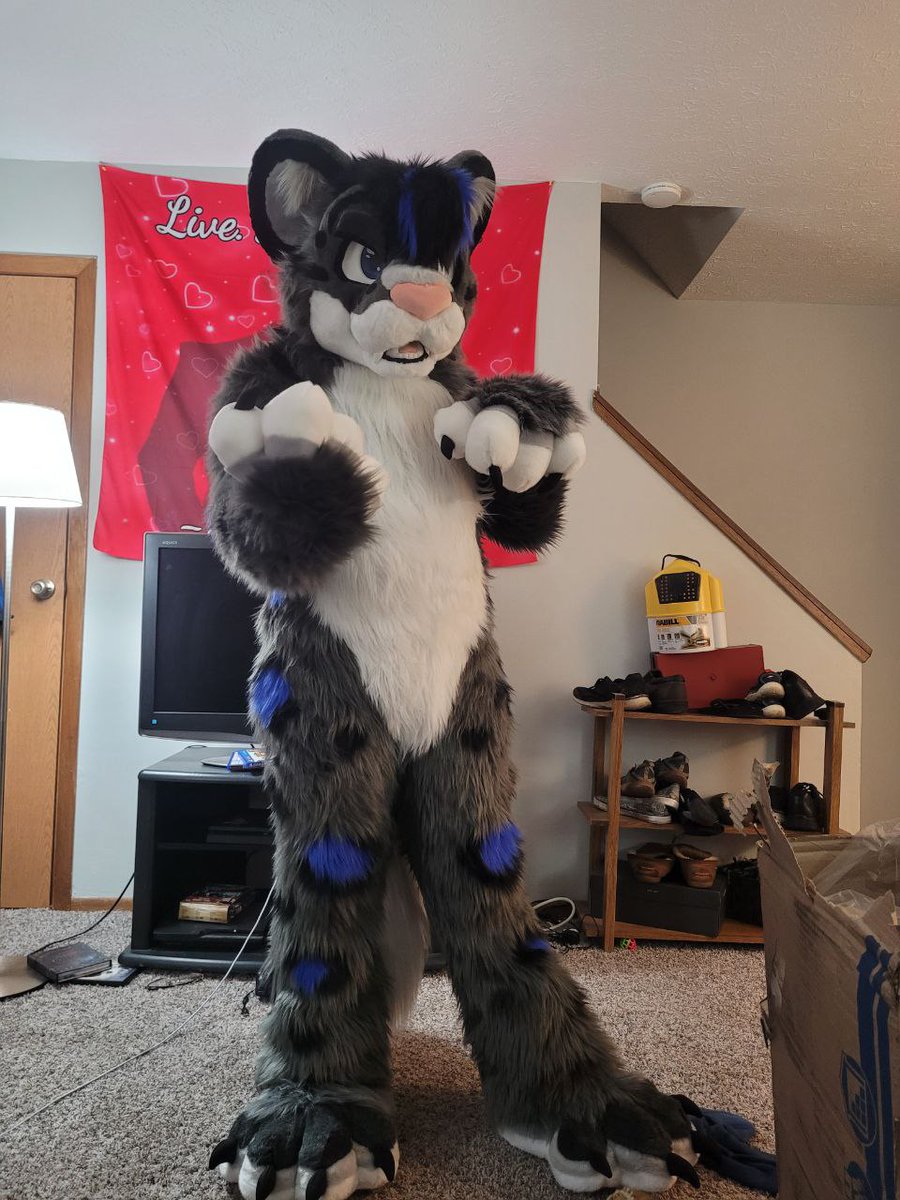 AkioSnep's tweet photo. Got my suit last night and I absolutely LOVE him! He's so soft and fluffy!!!!!!

Huge thank you to @RitzCostumes for the amazing work! I can't wait to snep around at some cons, find me at FWA and AC! https://t.co/NXCnwbdBHy