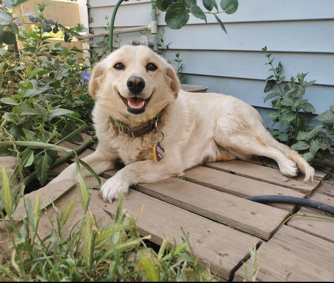 Francisca tweet media