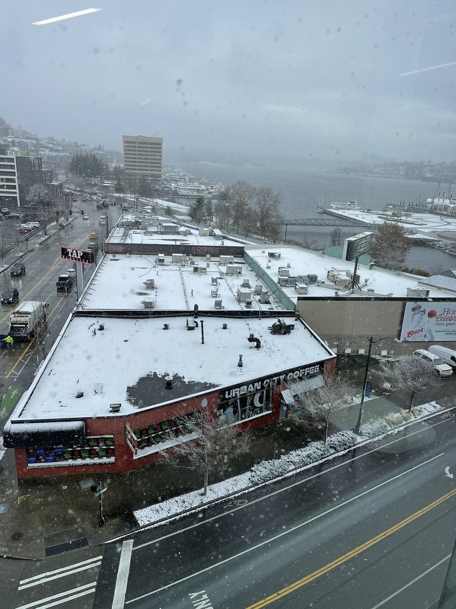 Delissa76's tweet photo. I am so excited to hear @RogersLabUCD speak today during our seminar series on a snowy day @AllenInstitute https://t.co/dpdWRXUxan