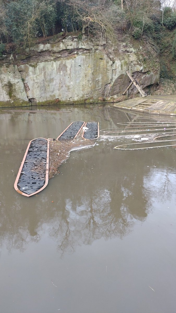 MichaelProut7's tweet image. 