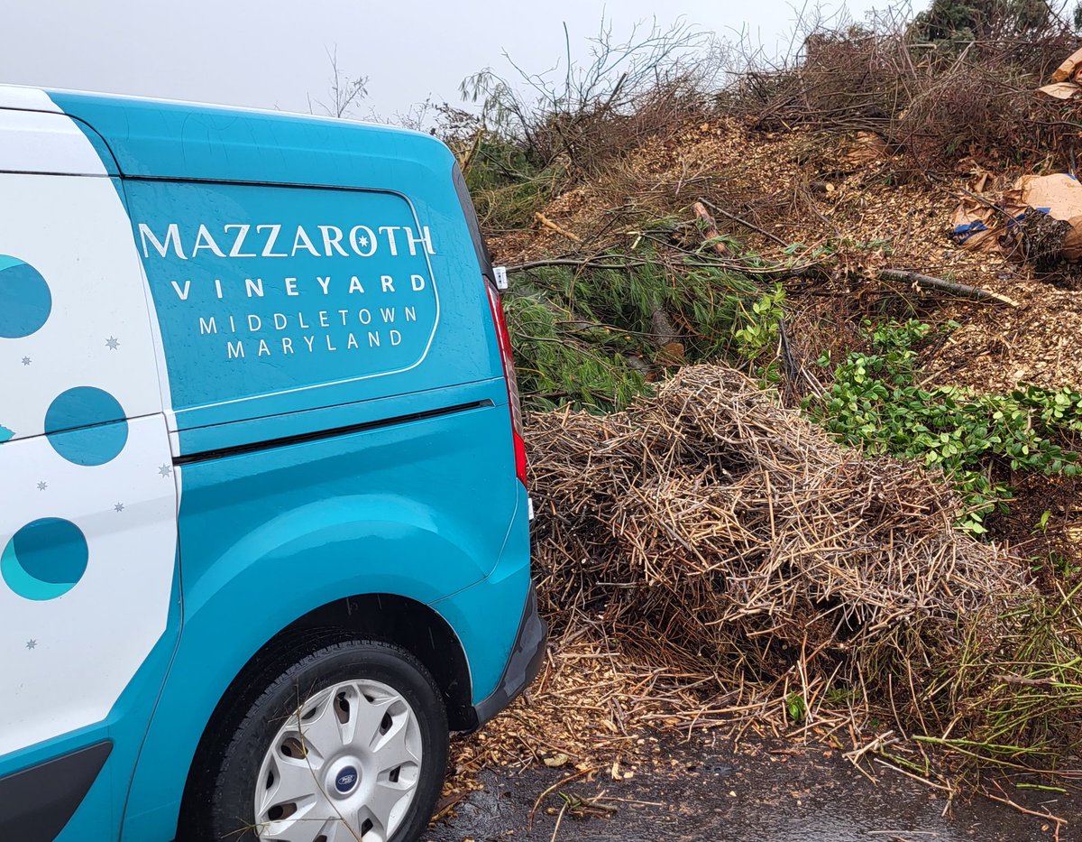 Garry Cohen tweet media