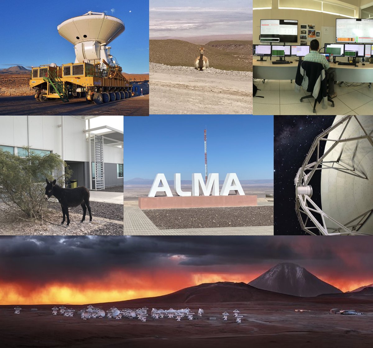 ALMA_Europe's tweet photo. For ALMA’s tenth birthday, the EU ARC is organising a competition!!! 🎉 To win one of our fun prizes, just draw or paint an ALMA Observatory related picture and post a photo of it in the comments! 😀 Open to the young and the young-at-heart until the 13th of March 2023. https://t.co/63oswJU2J0