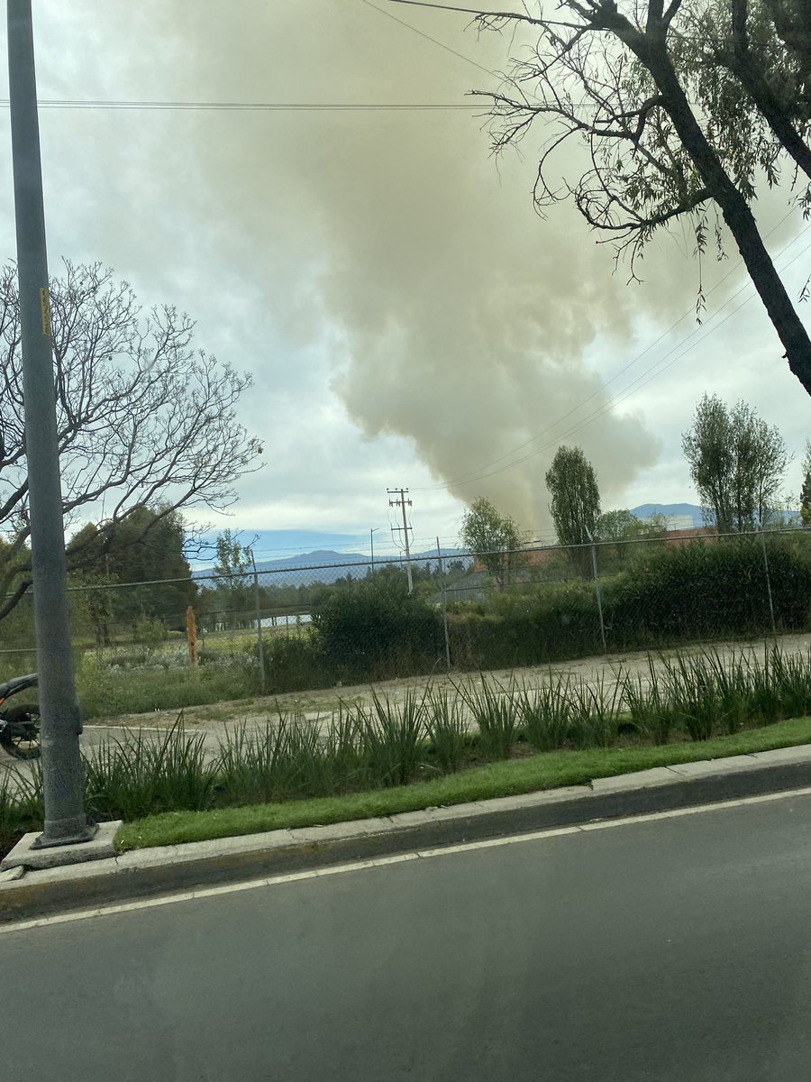 cecymore's tweet photo. @SSPCMexico @SSC_CDMX en el parque ecológico de Cuemanco hay un incendio. https://t.co/ZdU7RI3xMS