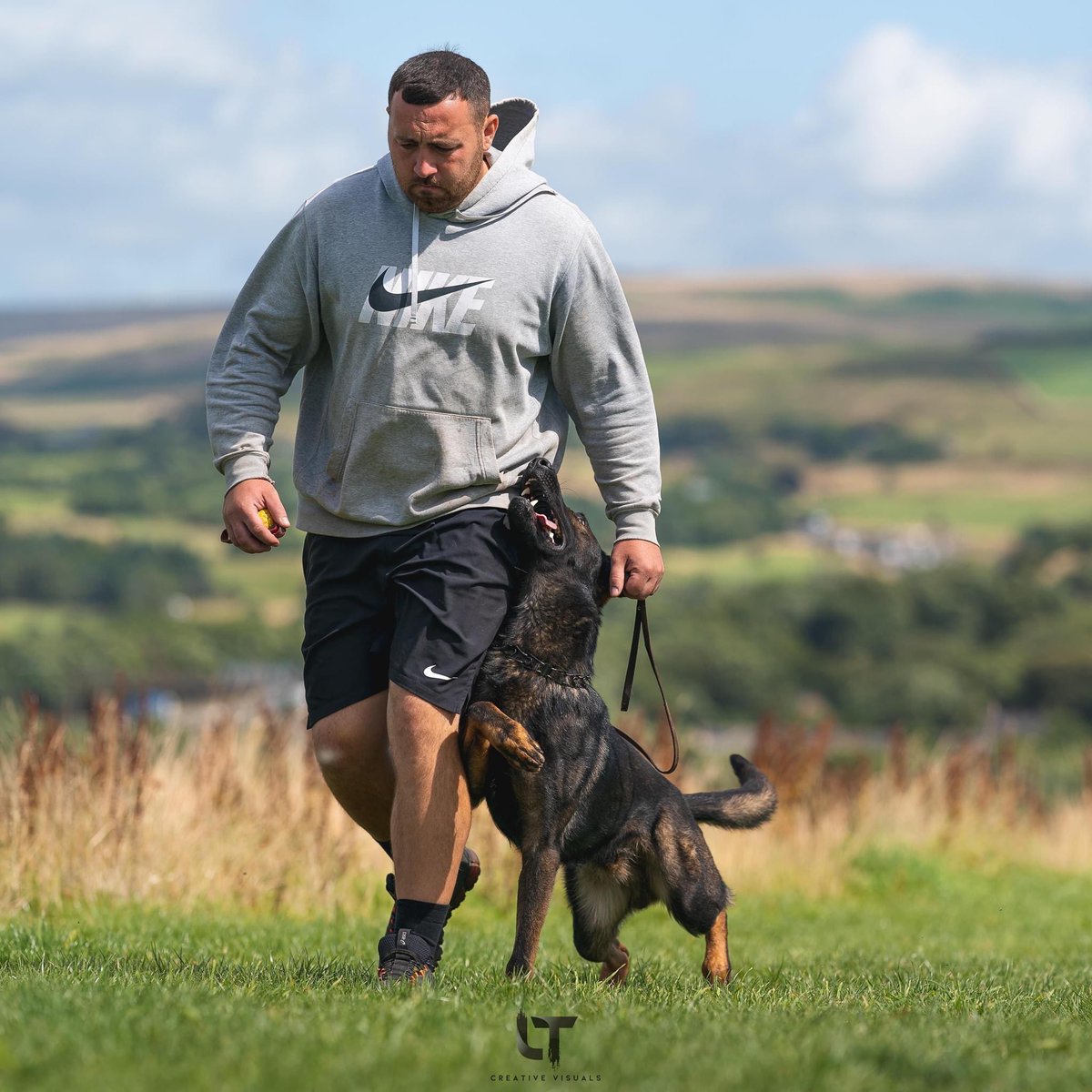 Total Dog Training tweet media