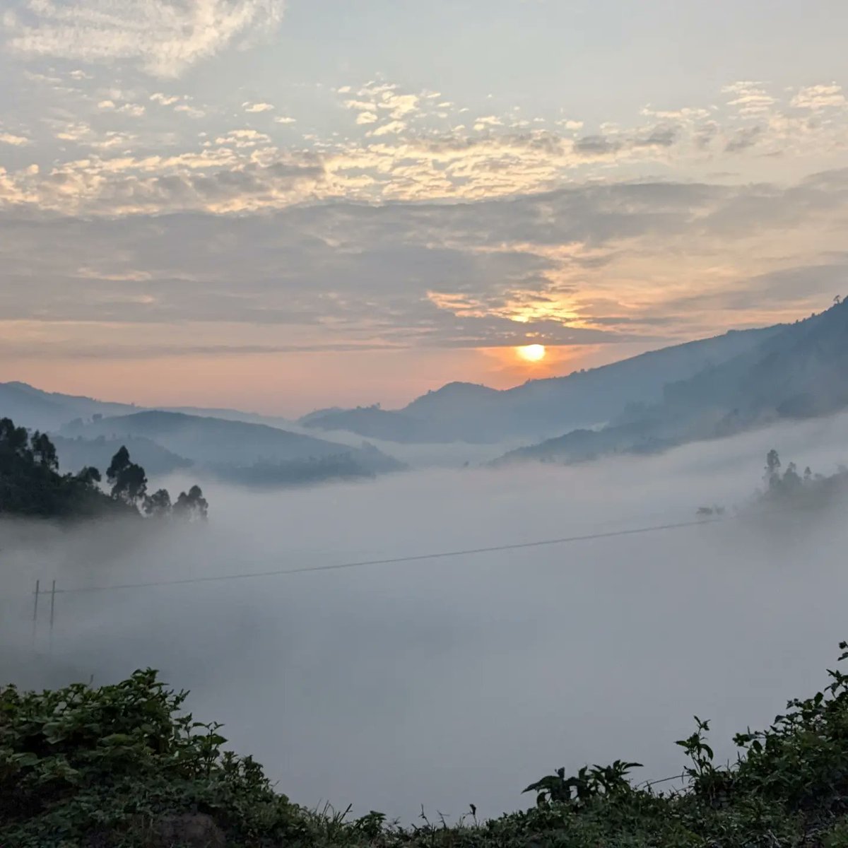 ExploreWildlif4's tweet photo. The Bwindi Impenetrable National Park, in the morning. Paradise you live to want.
https://t.co/h8glsHEkGw https://t.co/CQw9SYE2cF