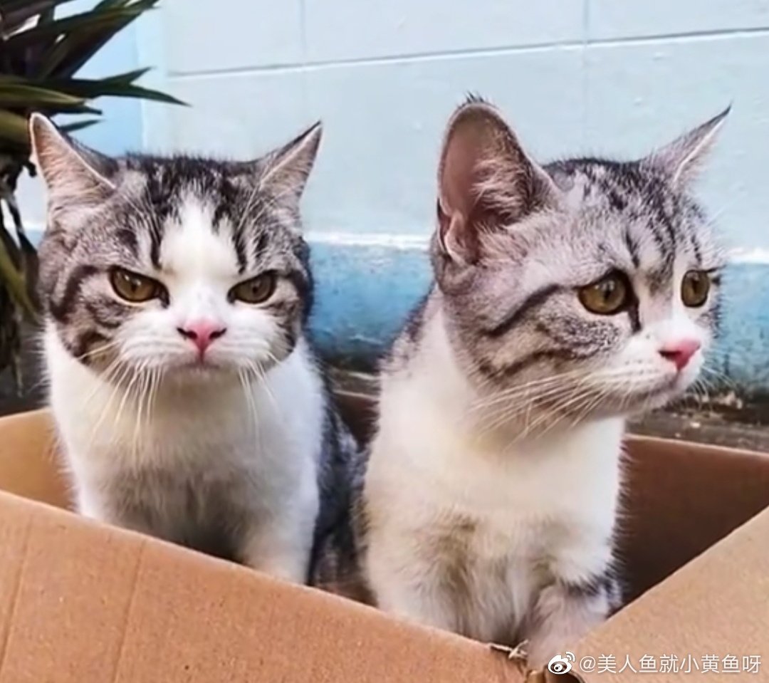 똑같은걸 어ㅋ케 찾는거야ㅎㅎㅎ