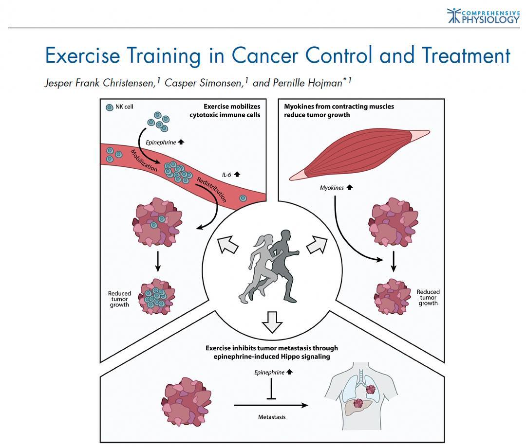 ⚠️ Esta revisión (➕700 intervenciones  y ➕50.000 pacientes) corrobora que el #ejercicio físico debería usarse como un componente integrado de la atención y el tratamiento estándar del #Cancer 👊🏻

onlinelibrary.wiley.com/doi/full/10.10…