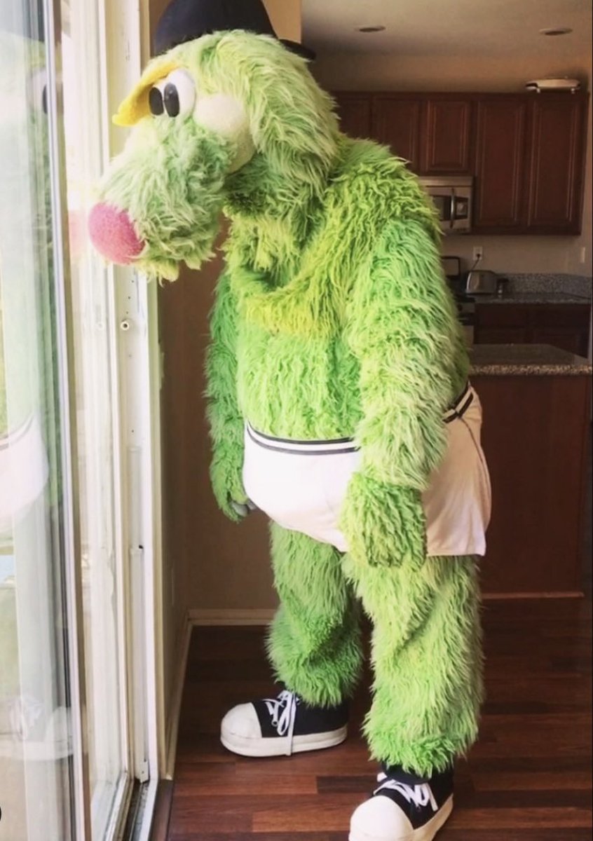 Thunder (@ThundertheDog) / Posts / X