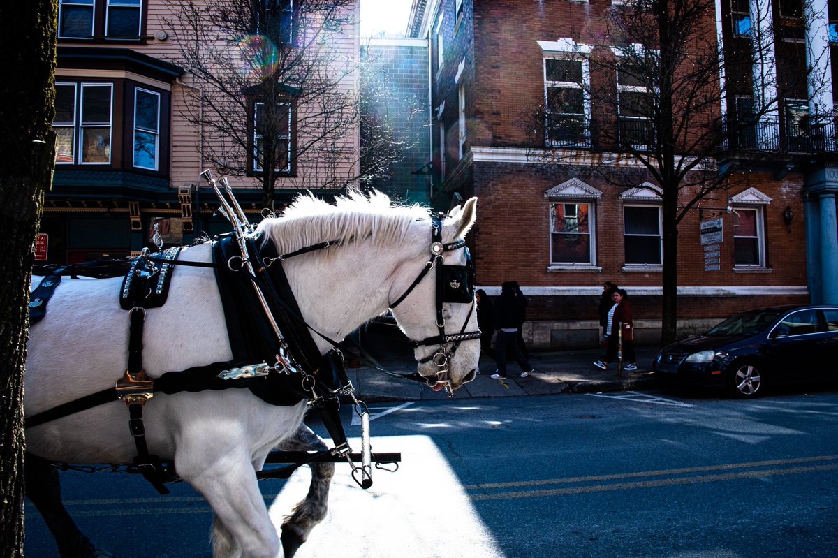 mgbmemory's tweet image. Jim Thorpe 📍
Song by @JayeBradleyIV 

#jimthorpe #Pennsylvania #projectvona #reels