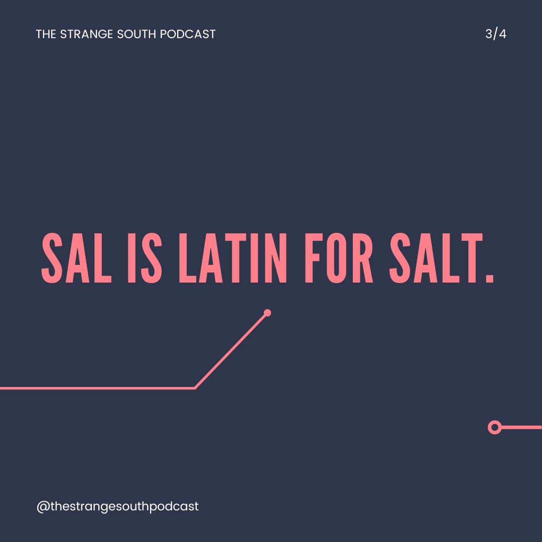 strangesouthpod's tweet photo. 🛡️🗡️ Roman soldiers were paid in 💰salt because it was valuable &amp; used to preserve food. Soldiers got a "salarium" of salt as part of their pay.  It ensured they got enough sodium to stay strong on long campaigns. #Romans #Salt #History #TheStrangeSouthPodcast #saltlick #NC https://t.co/7DruMuh4tb