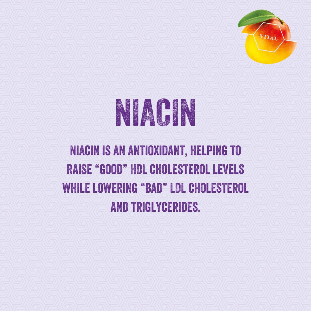 DrFunkDrinks's tweet photo. Refreshingly packed with goodness! 🍑

Our sparkling water isn't only great tasting. It also contains 50% of your niacin intake in one can!

Behind the fancy name, it really does do you some good. 

So sip on some Dr Funk and let the bubbles do the work.

#SparklingWater https://t.co/i1POfdOm9B