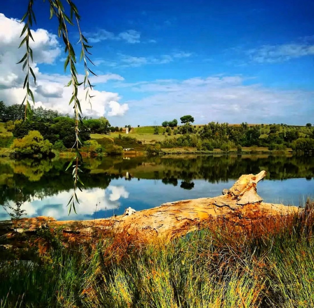 visit_lazio's tweet photo. Il #LagodiGiulianello è un’oasi situata a metà strada fra le alture di natura vulcanica dei #ColliAlbani e quelle calcaree dei monti #Lepini a 265 metri sul livello del mare, a soli 50 km da #Roma.

📸 Ig Italiadeicammini

 #VisitLazio #LazioEternaScoperta #LazioIsMe https://t.co/CSPqT8q78r