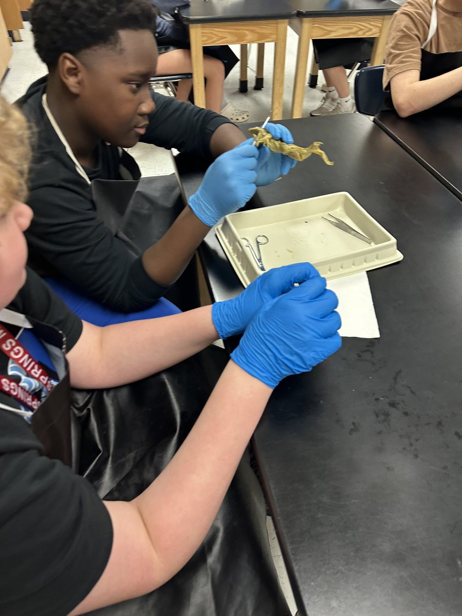 Courtney Brandel tweet media