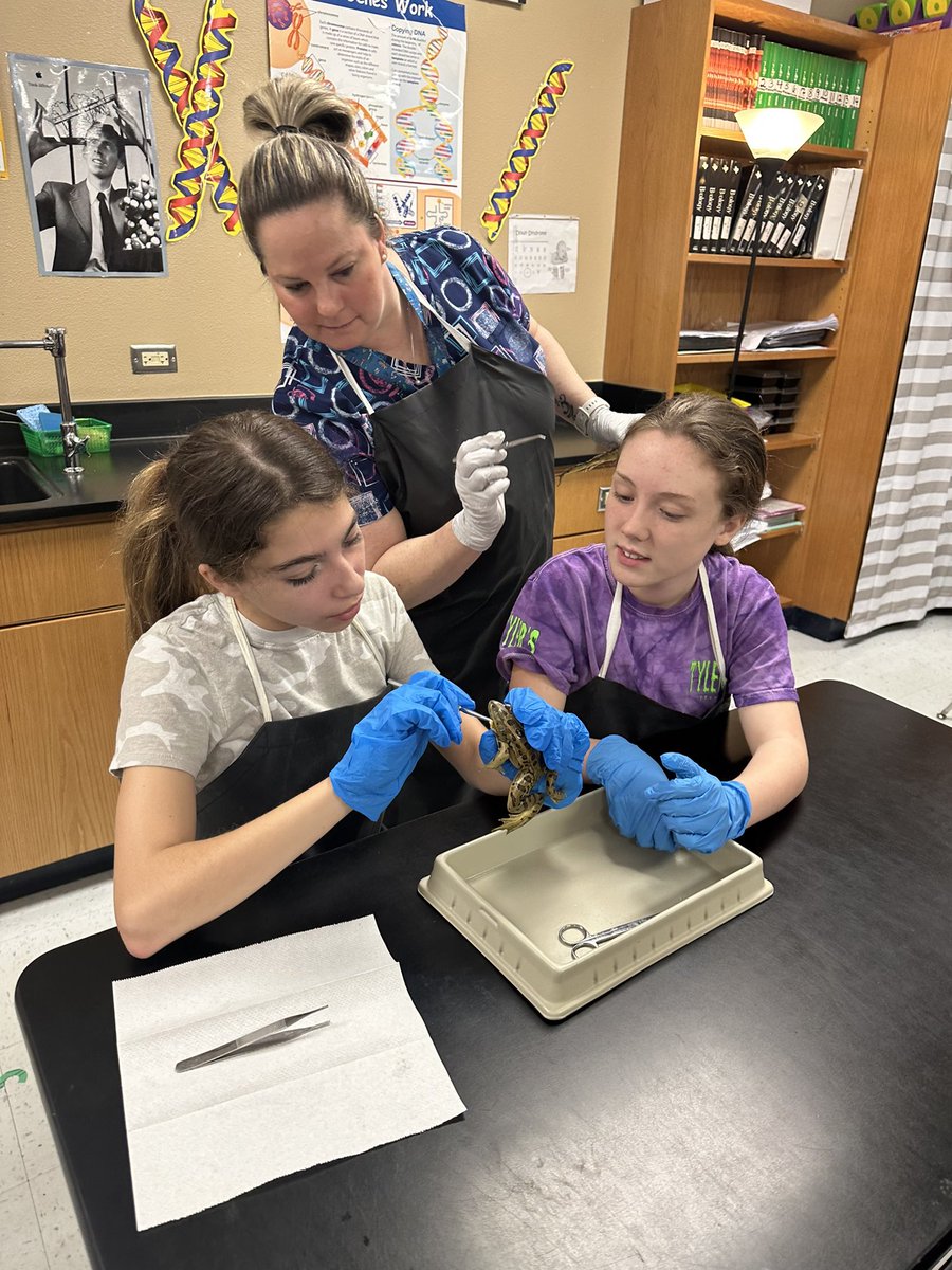 Courtney Brandel tweet media