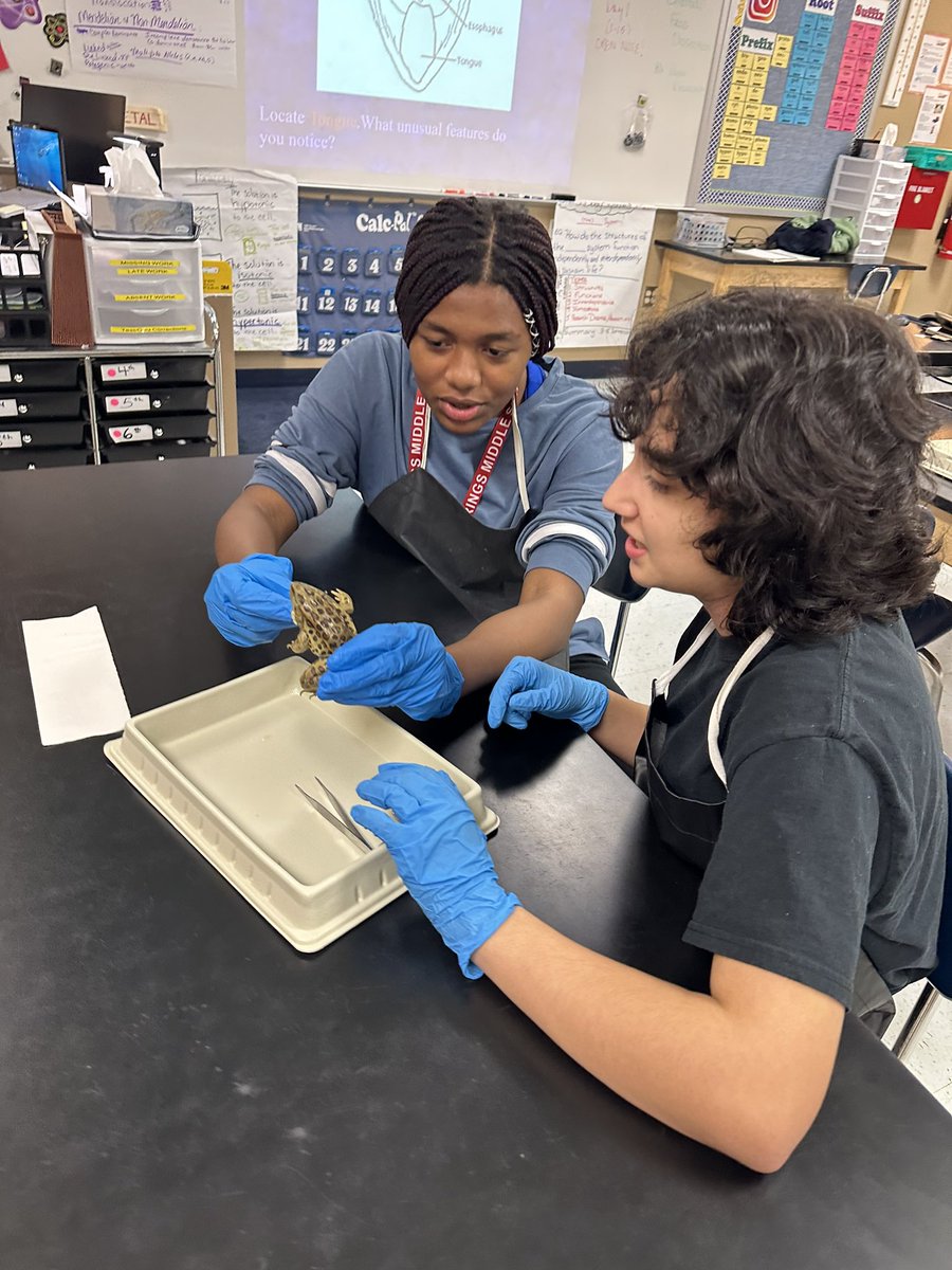 Courtney Brandel tweet media