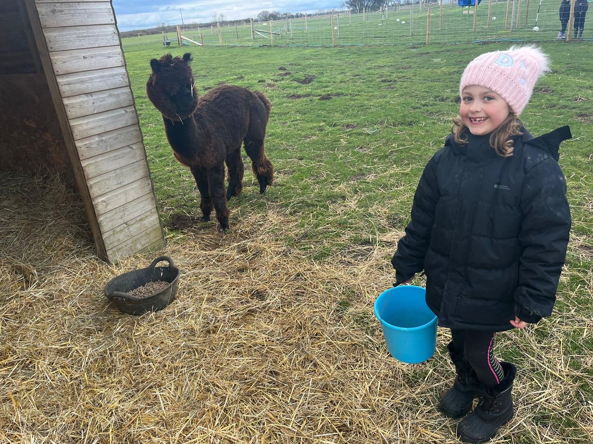 Lakeside_school's tweet photo. Work before tea @RandFarmPark #earningourkeep https://t.co/Ti9MWUmjpY