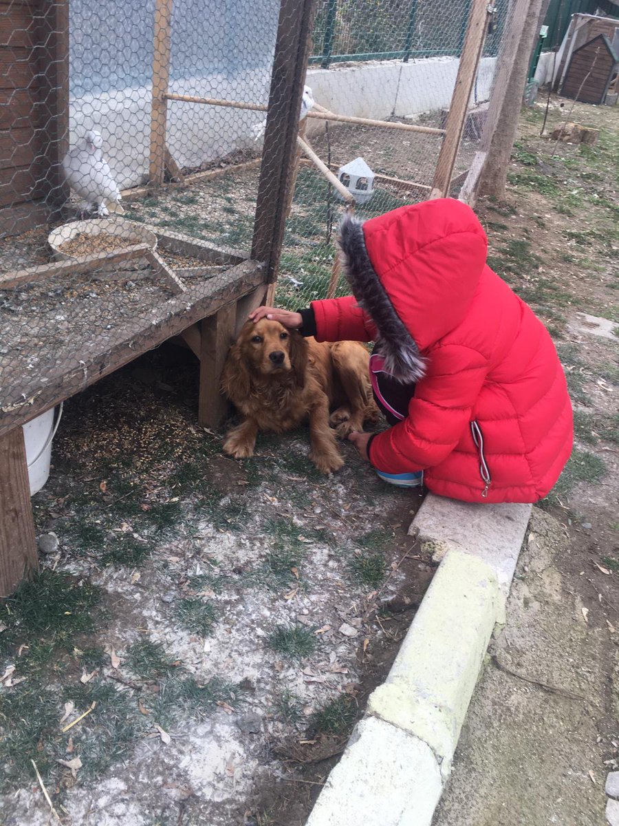 Kaymakamlığımız ve Müdürlüğümüz koordinesinde,afetzede öğrencilerimize psikososyal destek sağlamak amacıyla hazırladığımız “Doğa, Sen Tut Elimden” Projesi kapsamında öğrencilerimizi misafir ettik
<a href="/tcmeb/">Millî Eğitim Bakanlığı</a> 
<a href="/zulkifdagli/">Doç. Dr. Zülkif Dağlı</a>
<a href="/TCSamsunValilik/">T.C. Samsun Valiliği</a>
<a href="/muratagar60/">Murat AĞAR</a>
<a href="/irfanyetik55/">Mehmet İrfan YETİK</a>