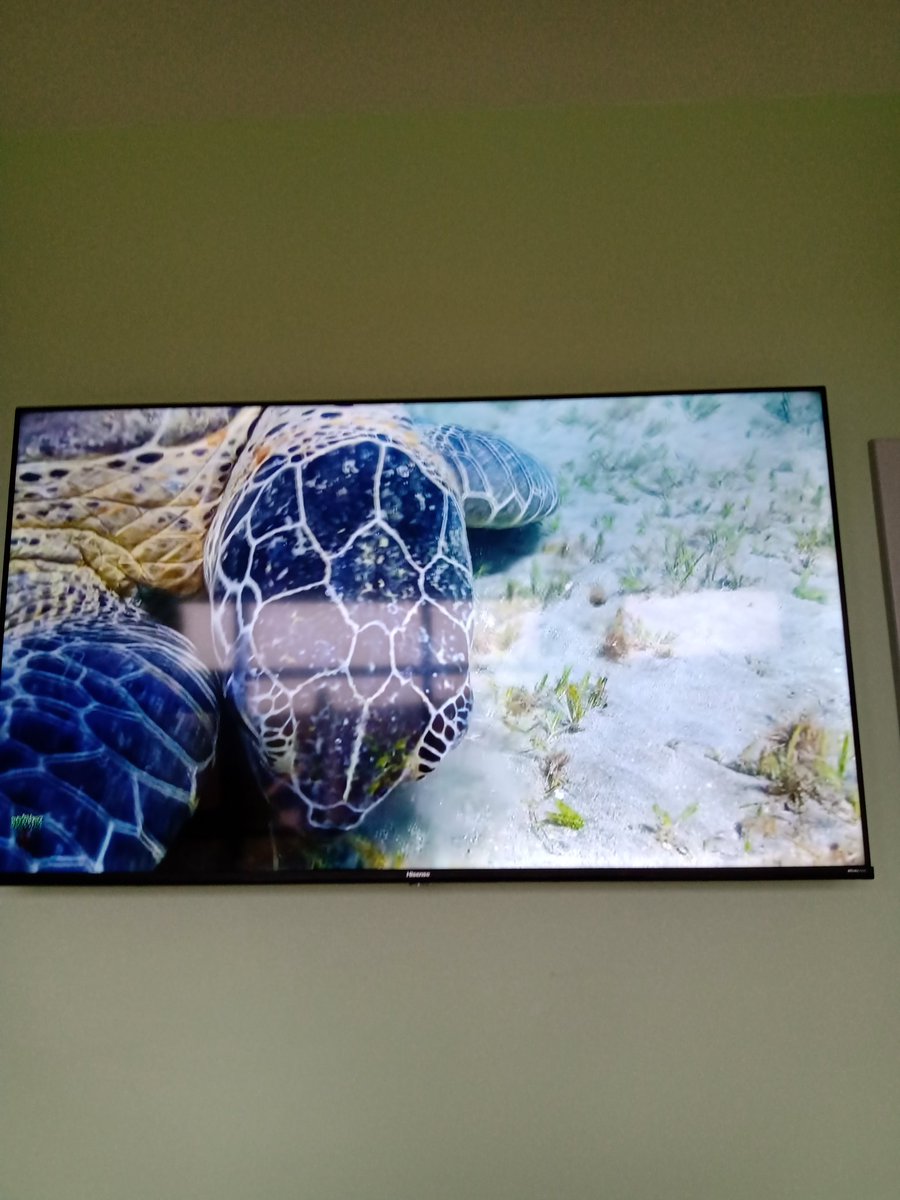 Kind donation of a new smart TV in sitting room ward 2 StACH. We were in room next door for MDT and could hear the relaxing music 🎶 made a difference! #1sttweetinawhile <a href="/michelleWil67/">michelle williamson</a> <a href="/nhsfife/">NHS Fife</a>