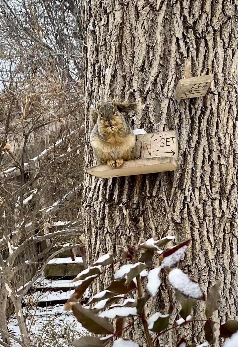 Happy #NationalWildlifeDay