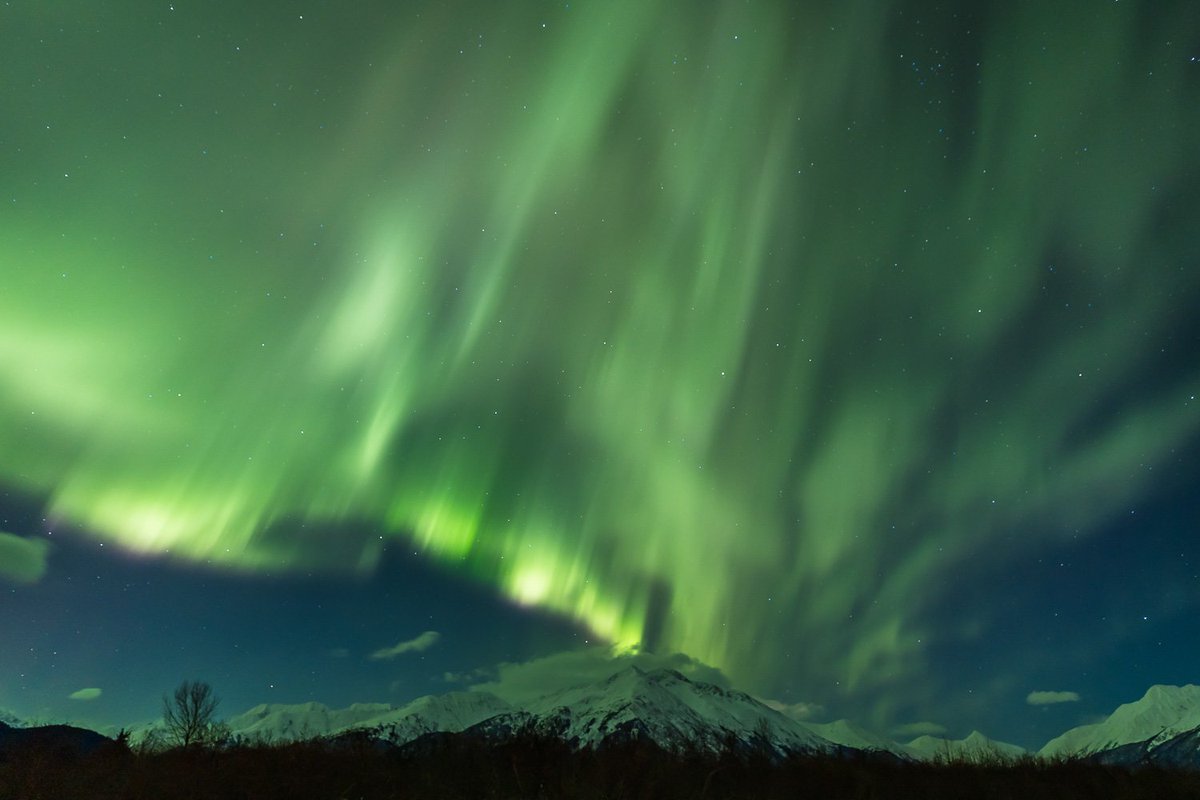 PhotoTrekAlaska's tweet photo. While it was cloudy in Fairbanks on Monday night (2/20/23), we got the full display of the G1 geomagnetic storm, Kp5 aurora borealis, down here in Southcentral Alaska. Our #Anchorage Aurora Quest guests got a great show! #phototours #tours #travel #northernlights #auroraborealis https://t.co/R6cuGnAwVt